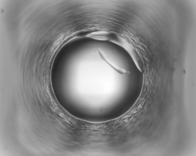 X0000088170241200705151156