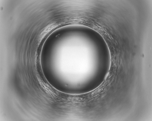 X0000088170242200705151156