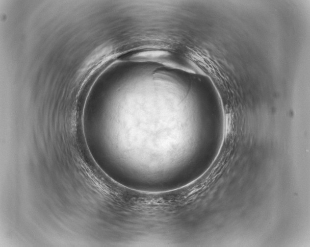 X0000088170243200705151156