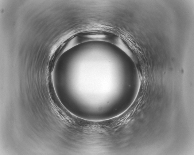 X0000088170244200705151156