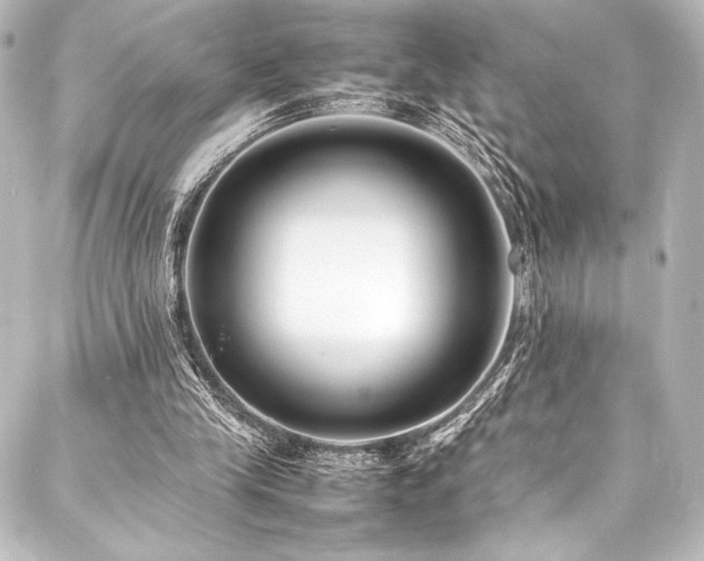 X0000088170245200705151156