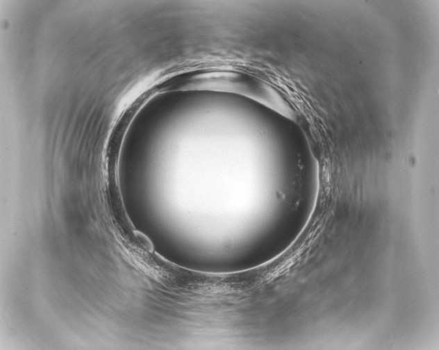 X0000088170246200705151156