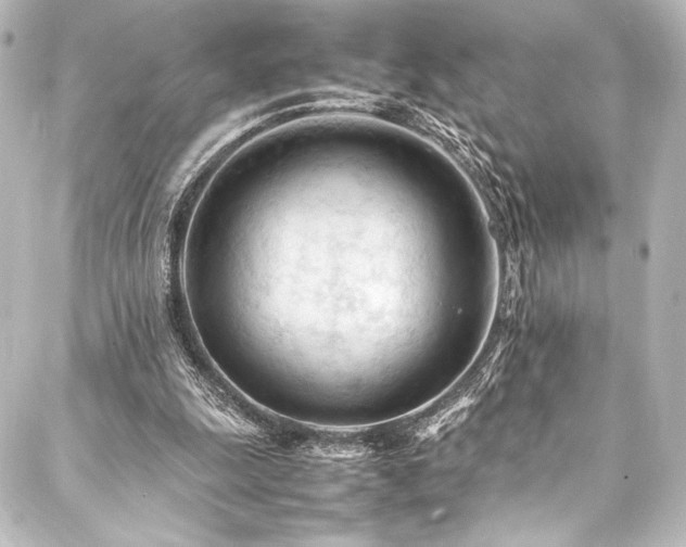 X0000088170247200705151156