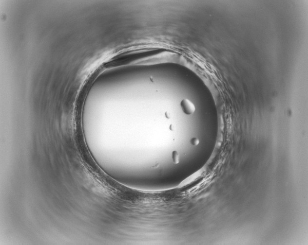 X0000088170248200705151156