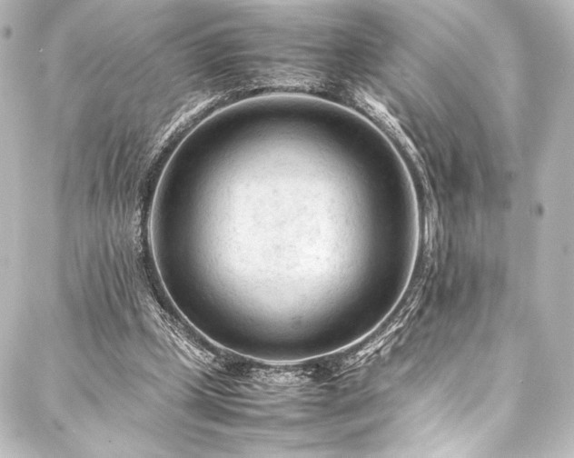 X0000088170249200705151156