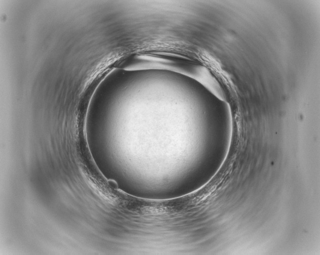 X0000088170250200705151156