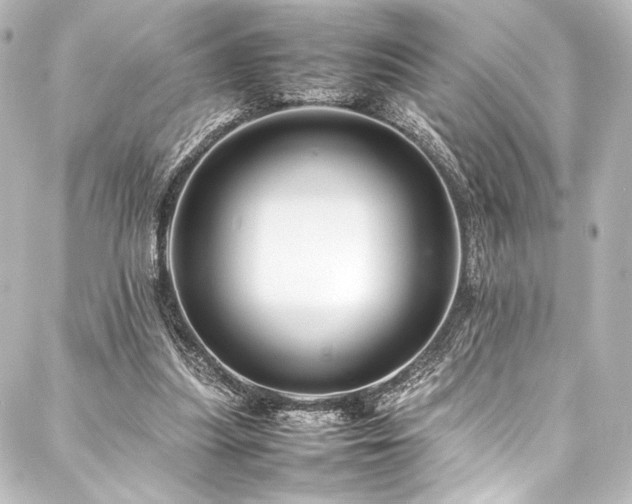 X0000088170251200705151156