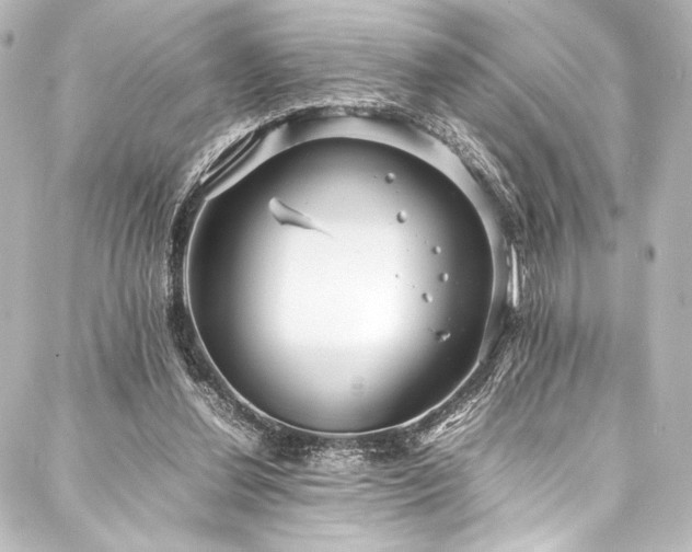 X0000088170252200705151156