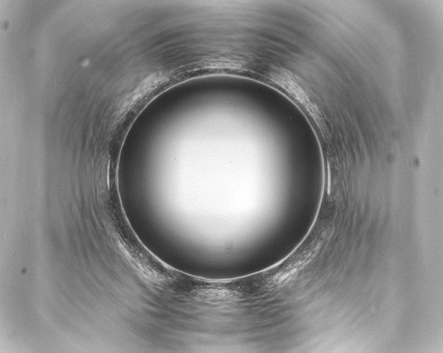 X0000088170253200705151156