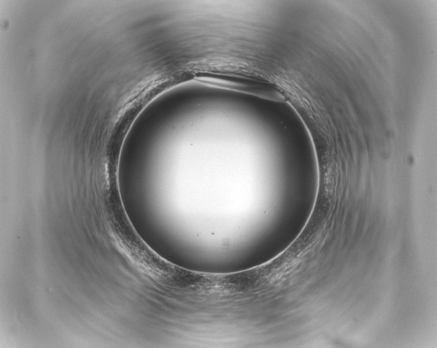 X0000088170254200705151156