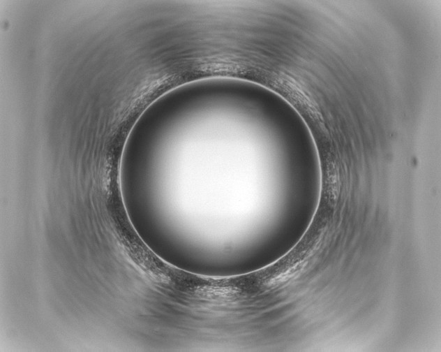 X0000088170255200705151156