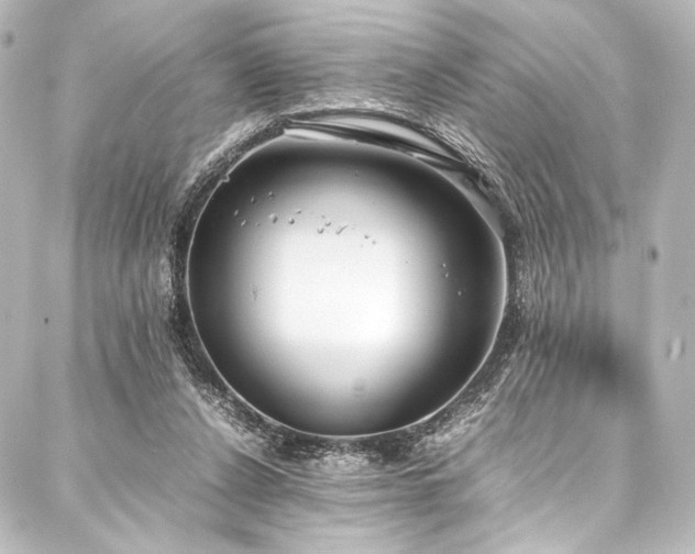 X0000088170256200705151156