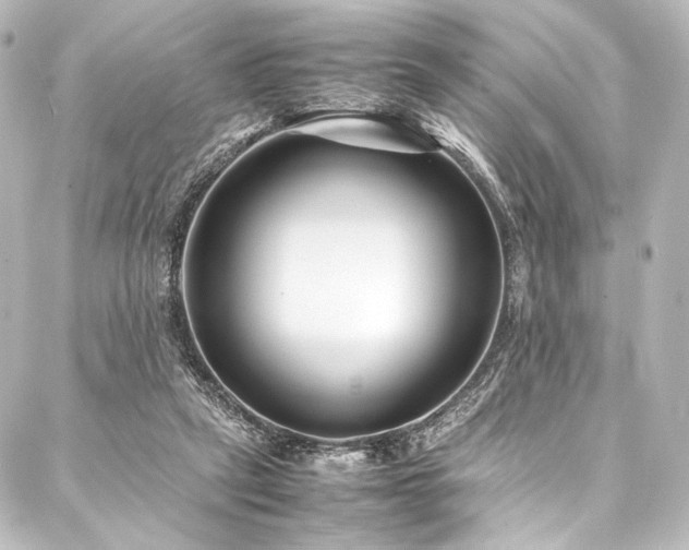 X0000088170257200705151156