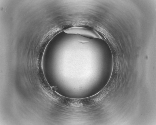 X0000088170258200705151156