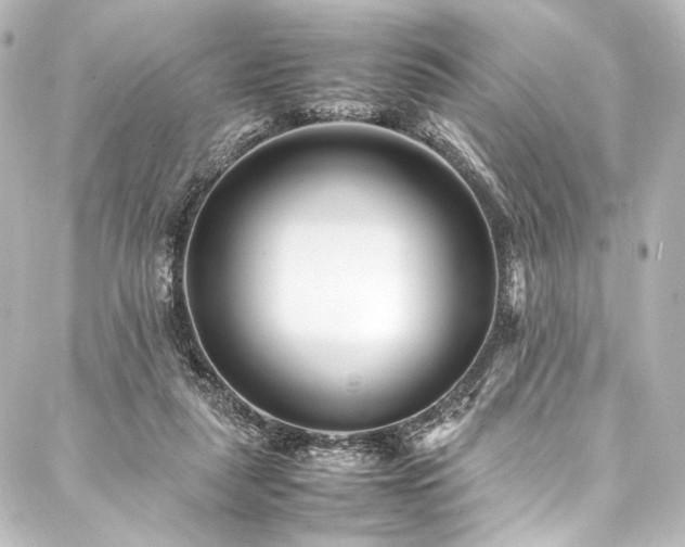 X0000088170259200705151156