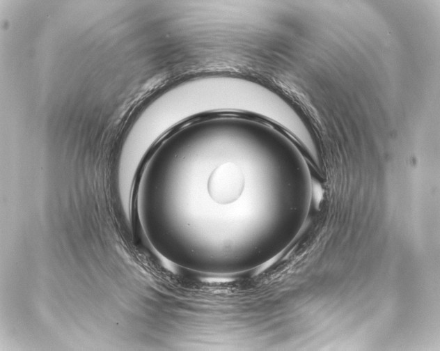 X0000088170260200705151156