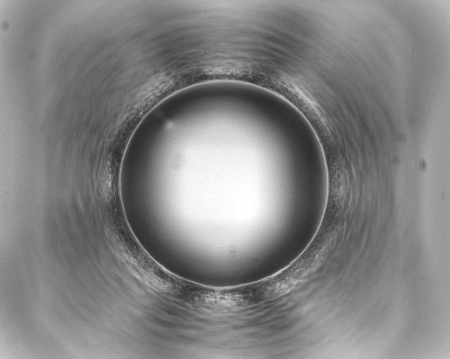 X0000088170261200705151156