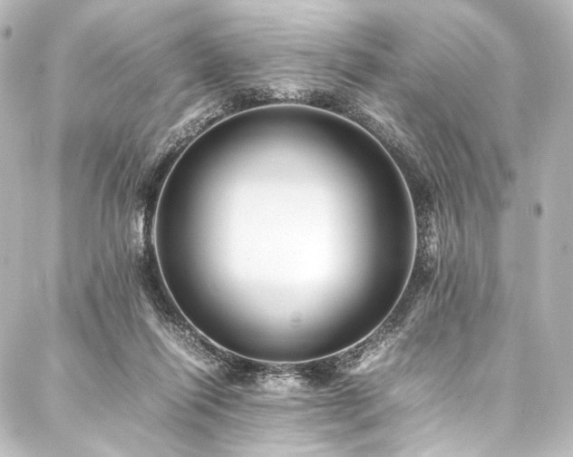 X0000088170262200705151156