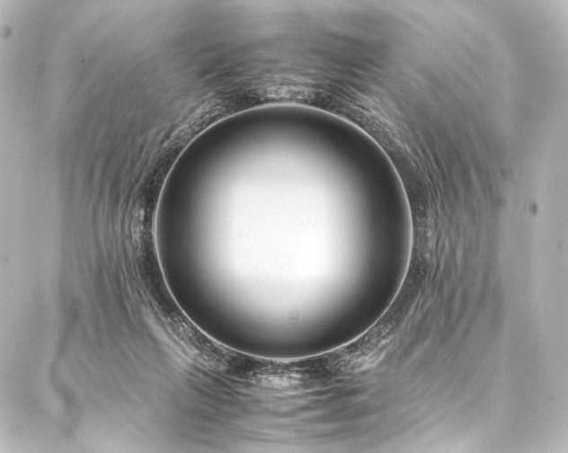 X0000088170263200705151156