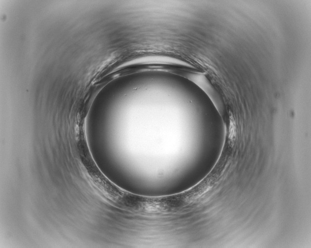 X0000088170264200705151156