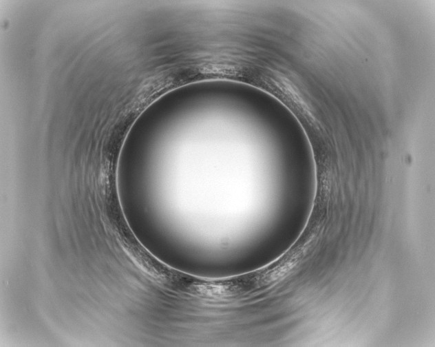 X0000088170265200705151156