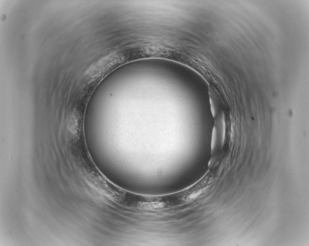 X0000088170266200705151156