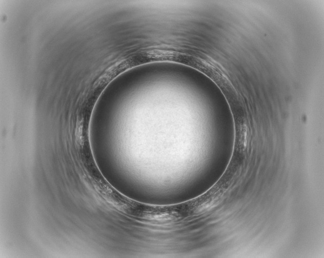 X0000088170267200705151156