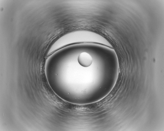 X0000088170268200705151156