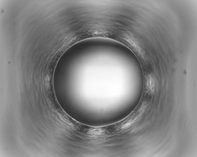 X0000088170269200705151156