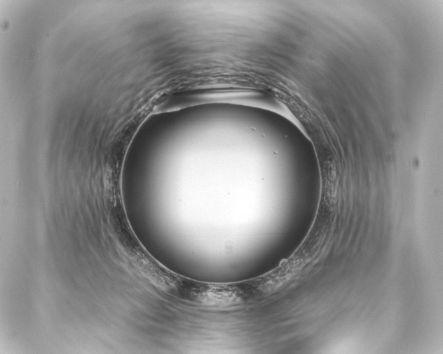 X0000088170270200705151156