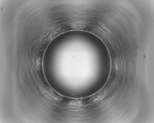 X0000088170271200705151156