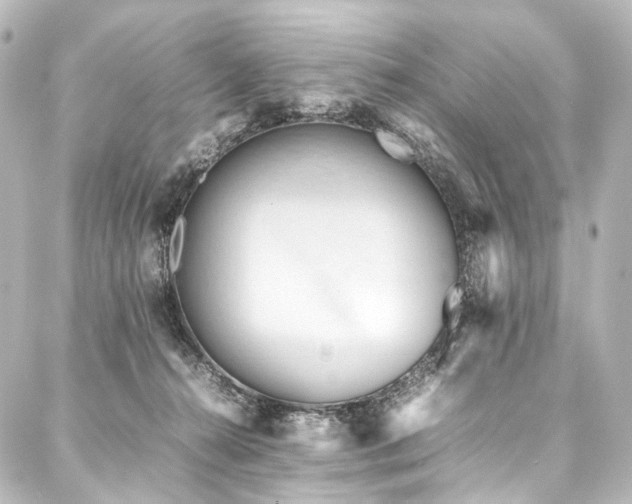 X0000088170272200705151156