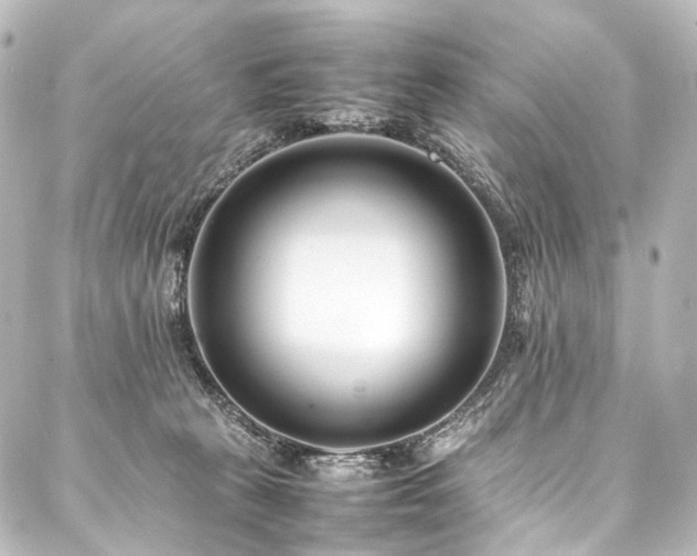 X0000088170273200705151156