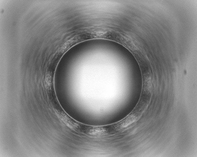 X0000088170274200705151156