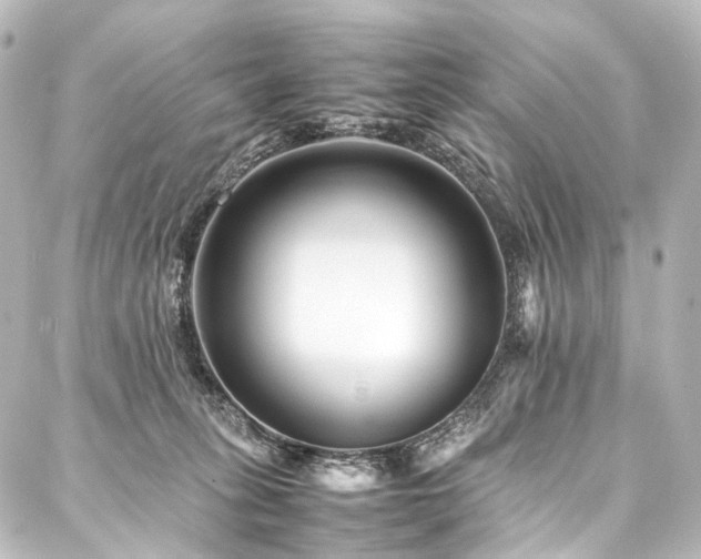 X0000088170275200705151156