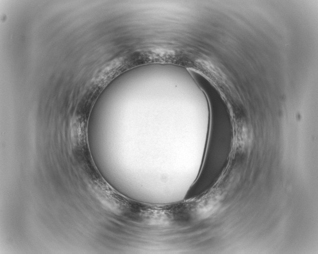 X0000088170276200705151156