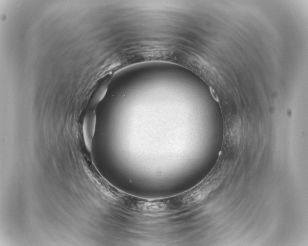 X0000088170277200705151156