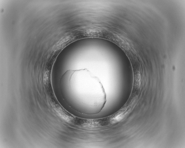 X0000088170278200705151156