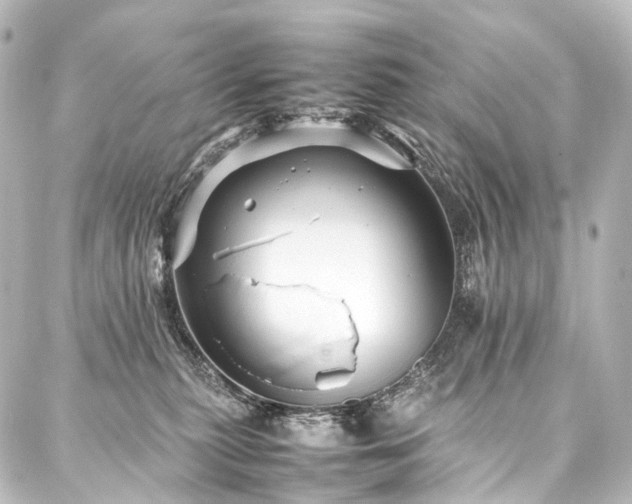 X0000088170279200705151156