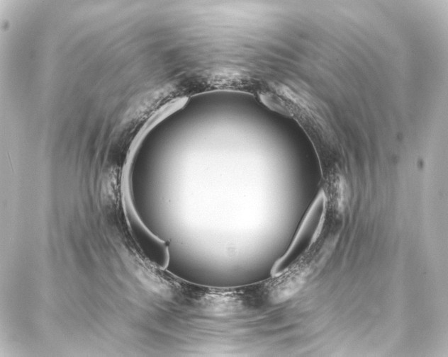 X0000088170280200705151156