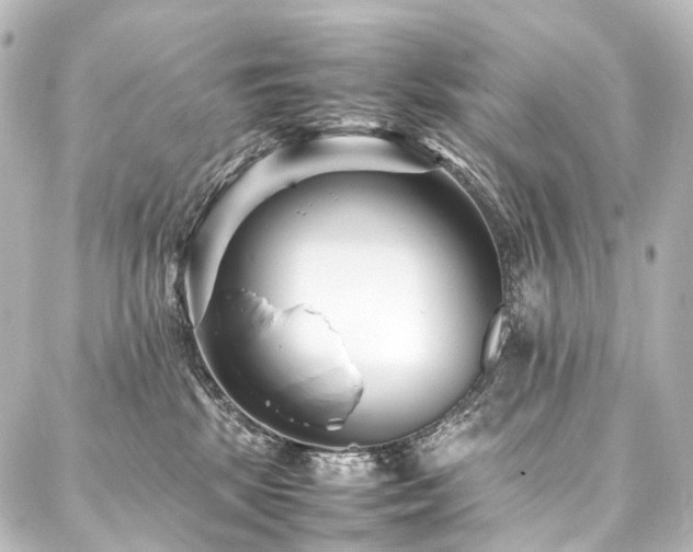 X0000088170281200705151156