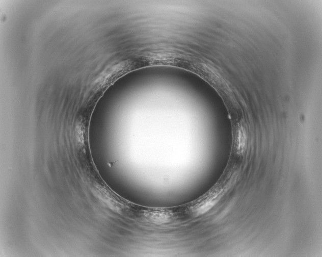 X0000088170282200705151156