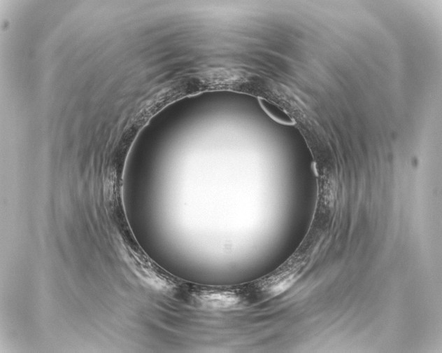 X0000088170283200705151156