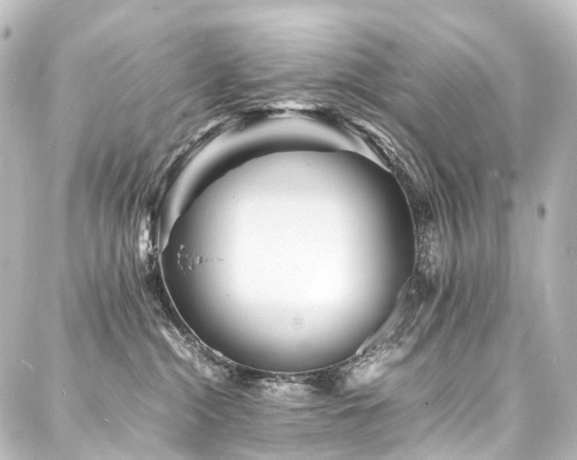 X0000088170284200705151156