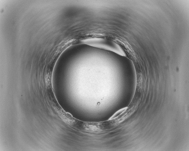 X0000088170285200705151156