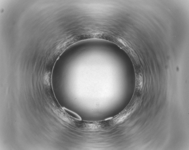 X0000088170286200705151156