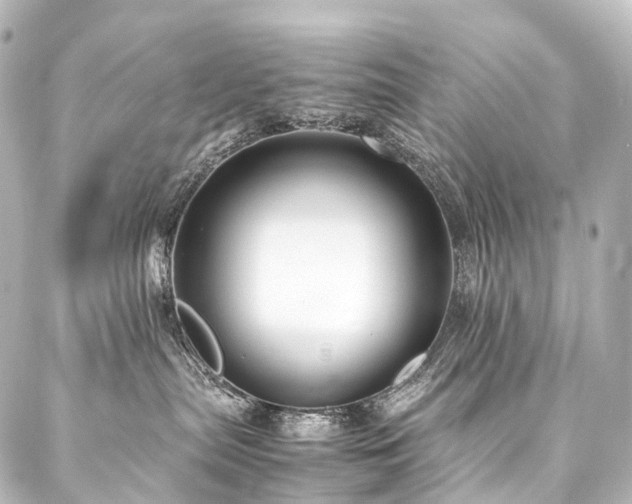 X0000088170287200705151156