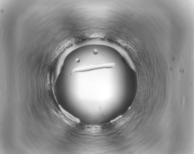 X0000088170288200705151156