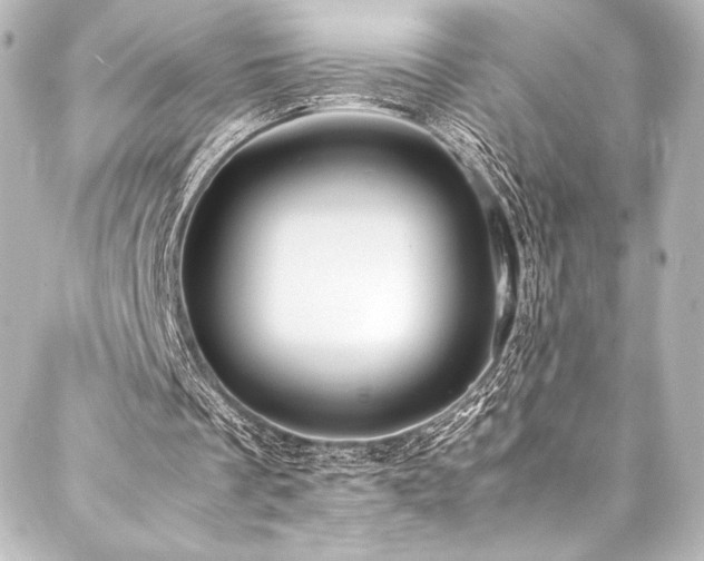 X0000088170289200705151156