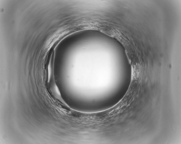 X0000088170291200705151155